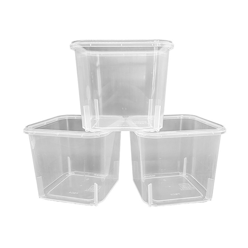 PP Plasirc Square Bucket في علامة العفن